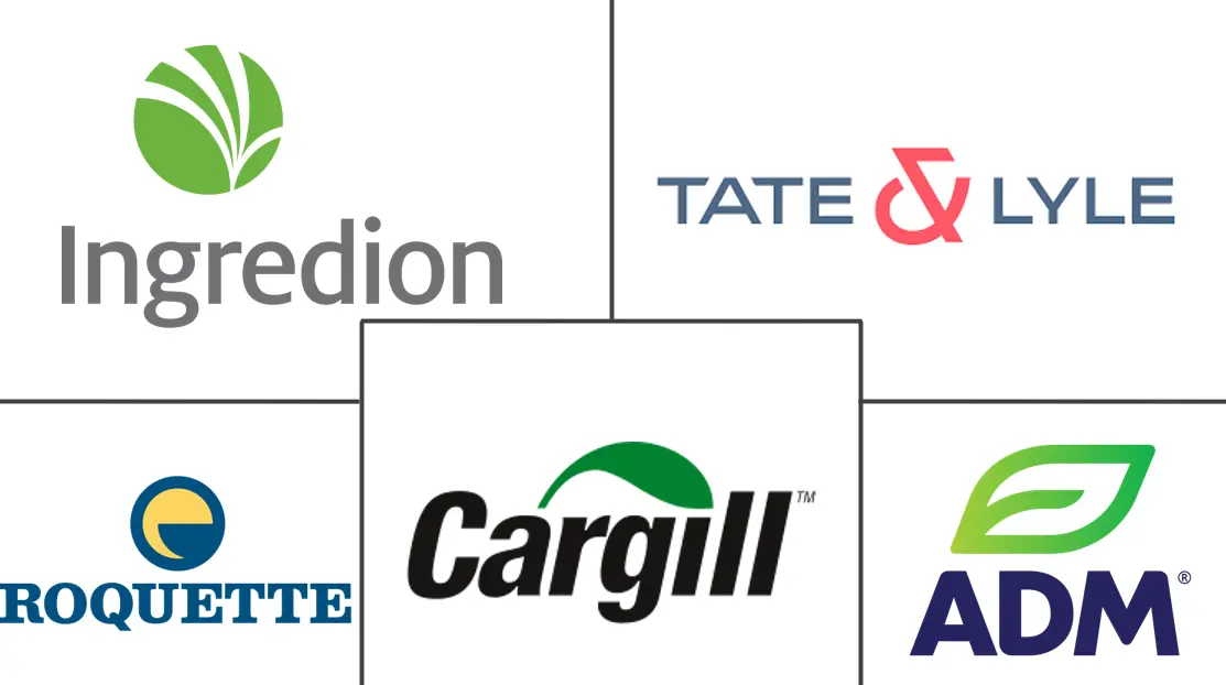 清洁标签淀粉市场规模和份额