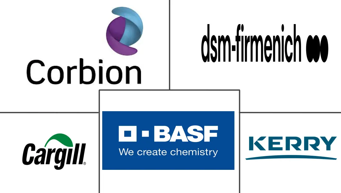 北美食品防腐剂市场规模和份额分析