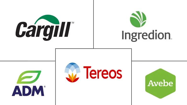 欧洲淀粉衍生物市场规模