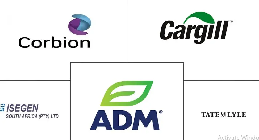 南非酸化剂市场规模