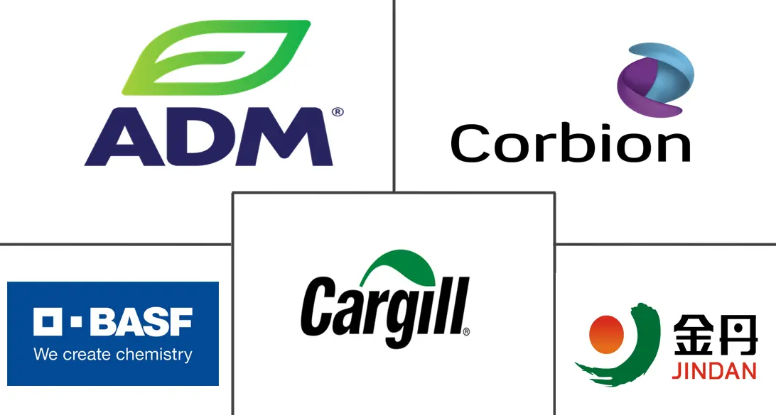 南美乳酸市场规模及份额