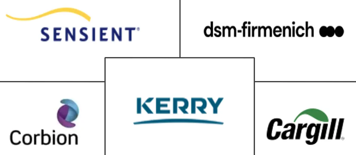 微生物蛋白市场规模和份额