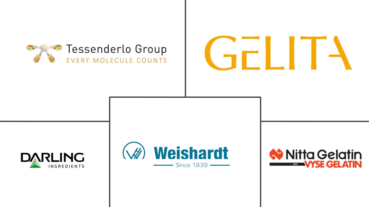 英国胶原蛋白市场规模和份额