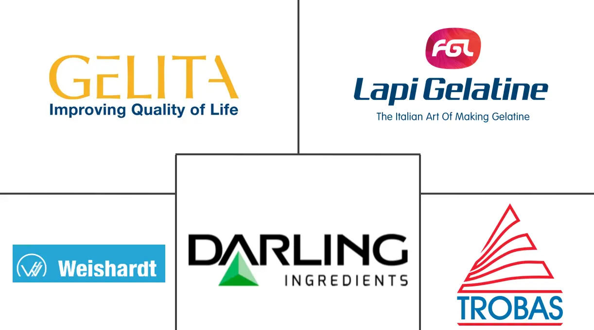 英国明胶市场规模