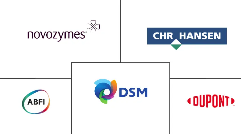 巴西食品酶市场规模