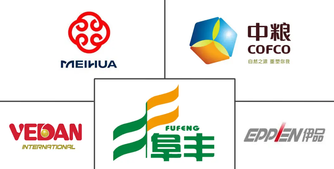 中国味精 (MSG) 市场规模及份额分析