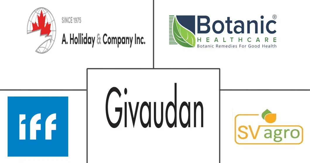 茶多酚市场规模和份额