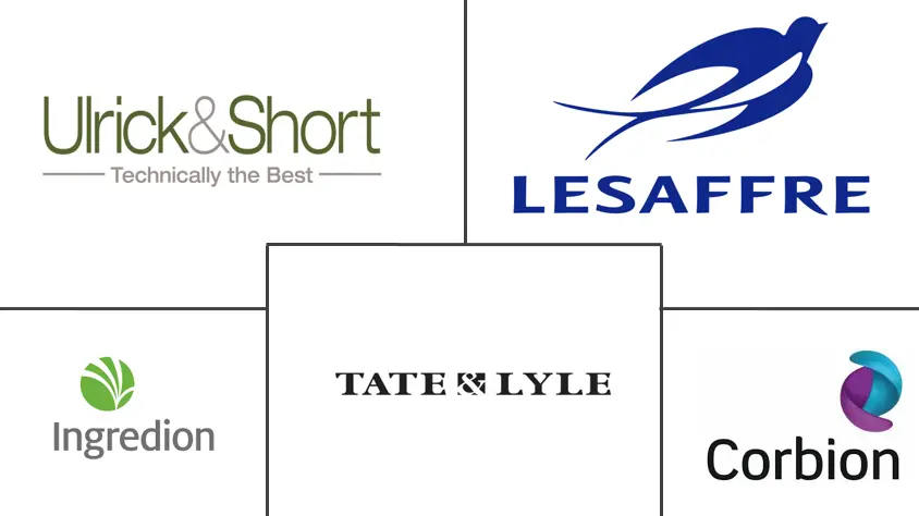 非洲脂肪替代品市场规模