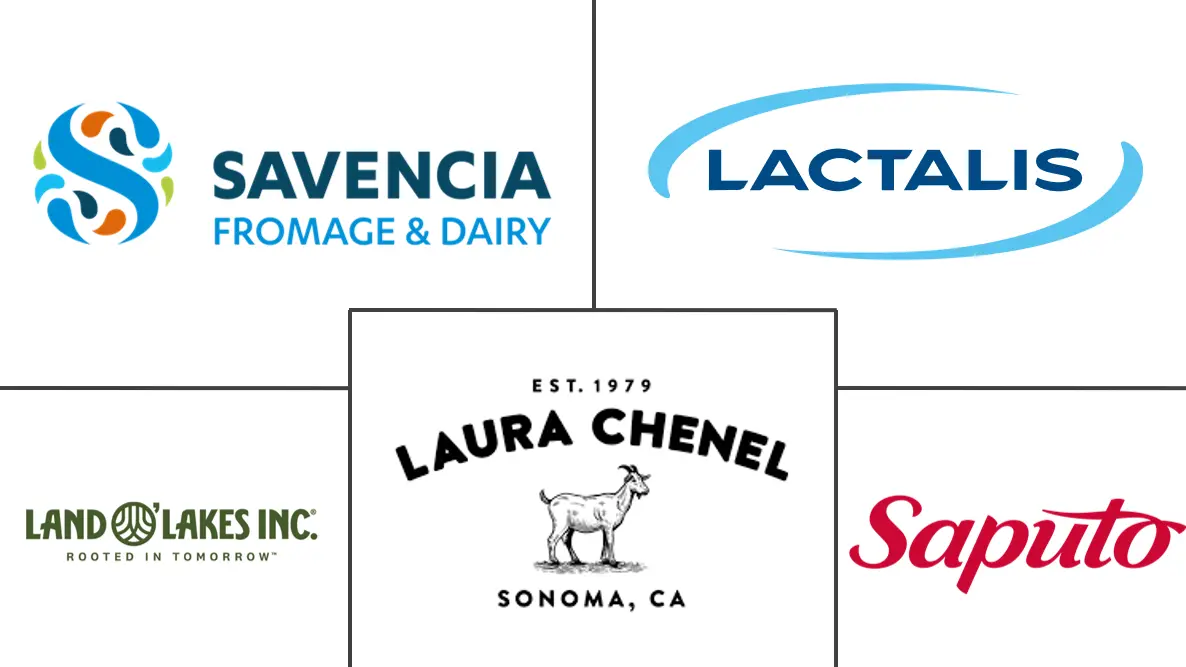 山羊奶酪市场规模和份额