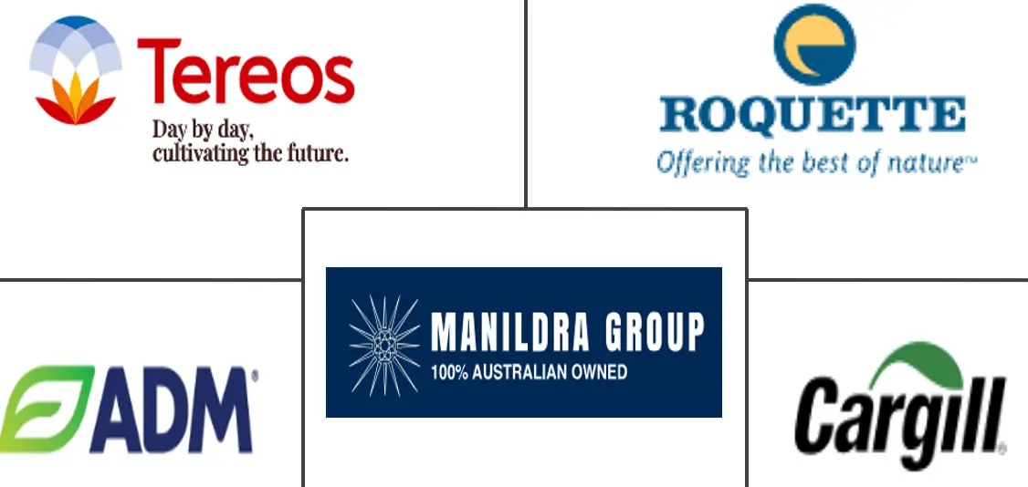 小麦面筋市场规模和份额