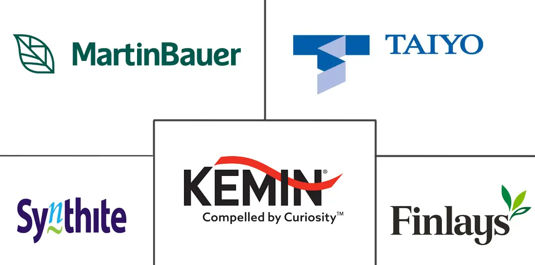 茶提取物市场规模和份额