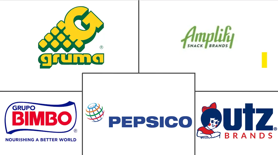 玉米饼片市场规模和份额