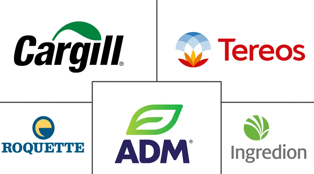 糖醇市场规模及份额