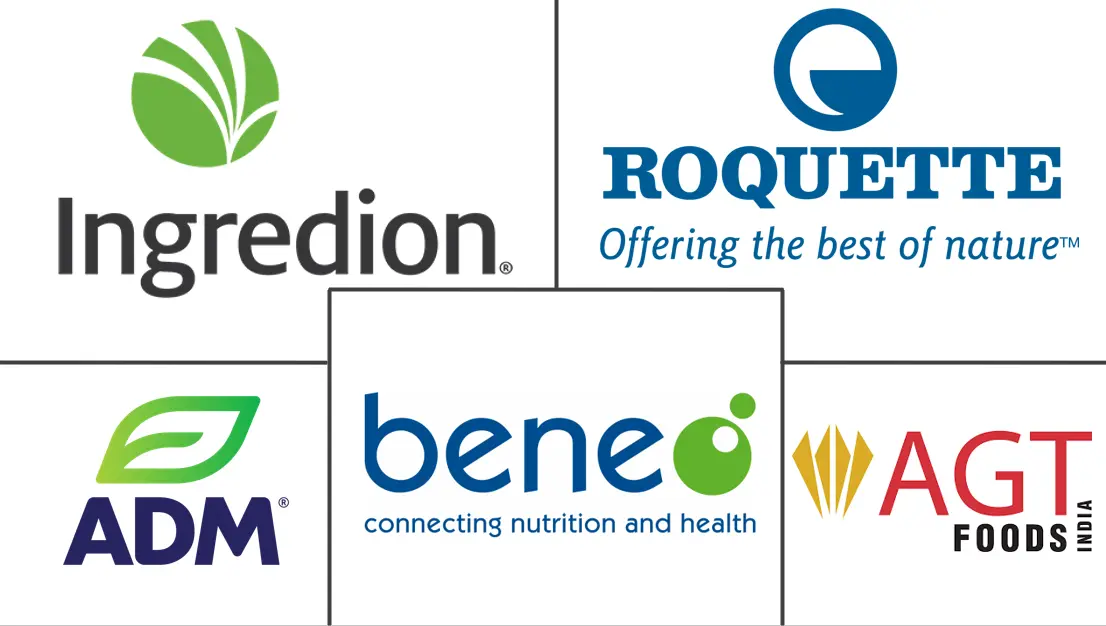 蚕豆蛋白市场规模和份额