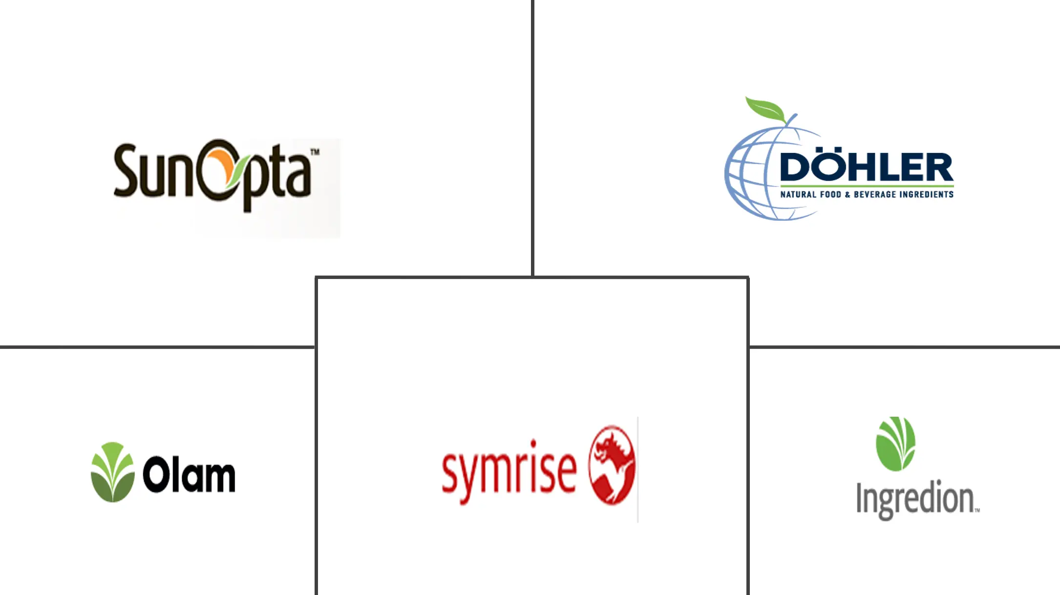 蔬菜浓缩物市场规模