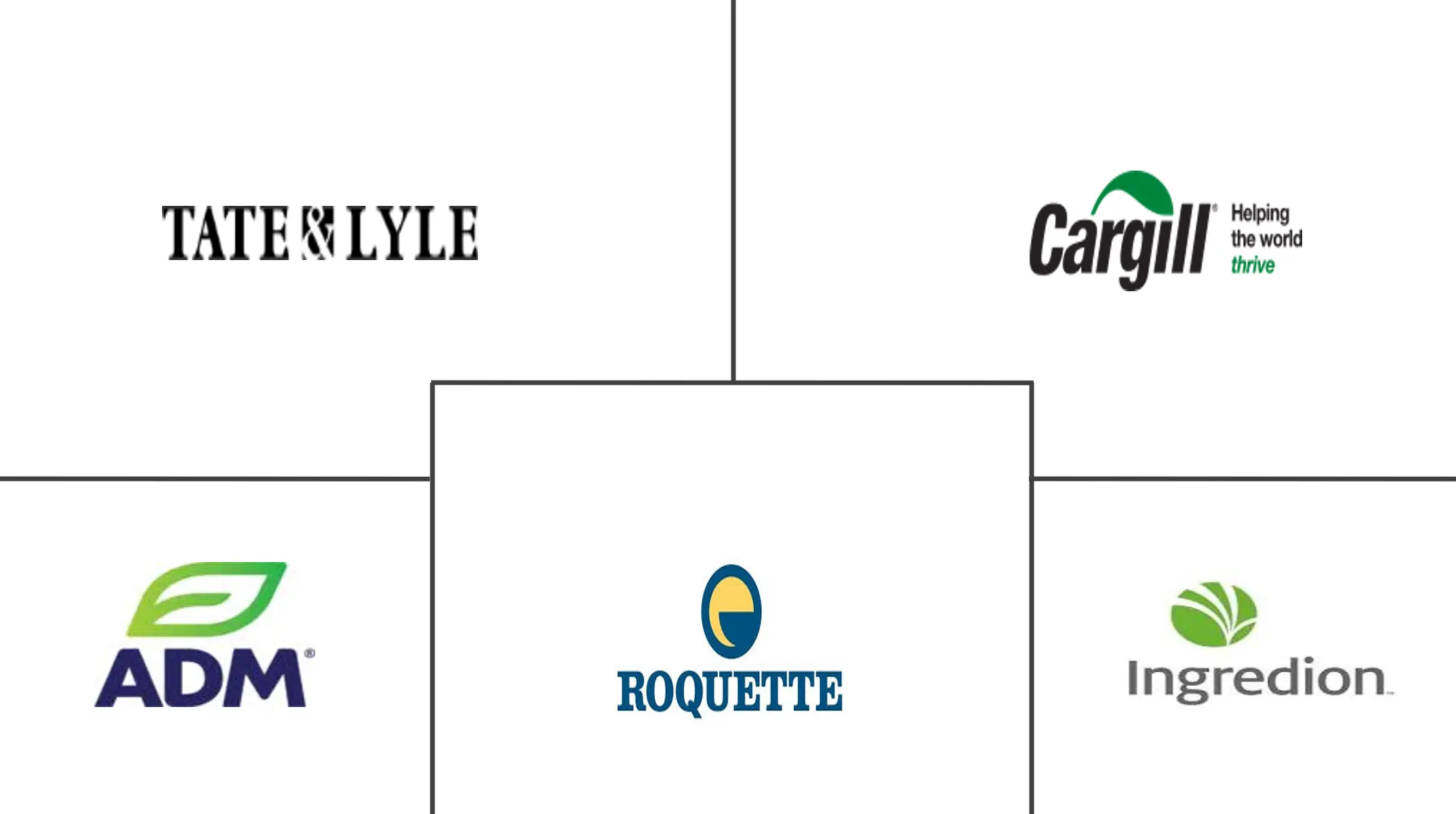 南美洲低热量甜味剂市场规模