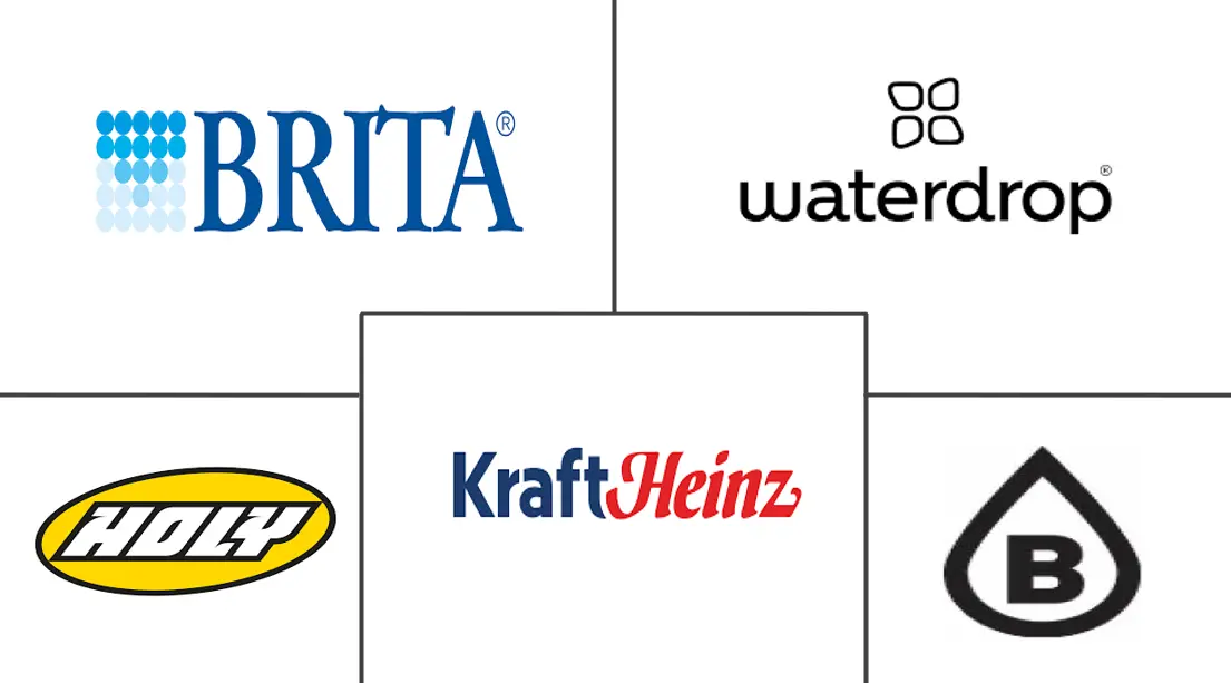 德国水强化剂市场规模及份额