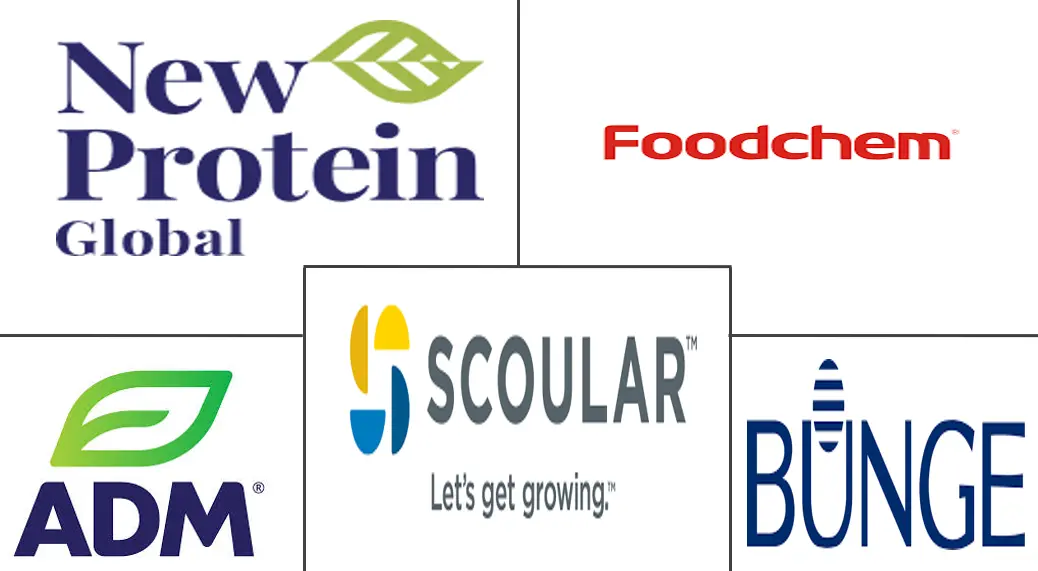 大豆浓缩蛋白市场规模及份额