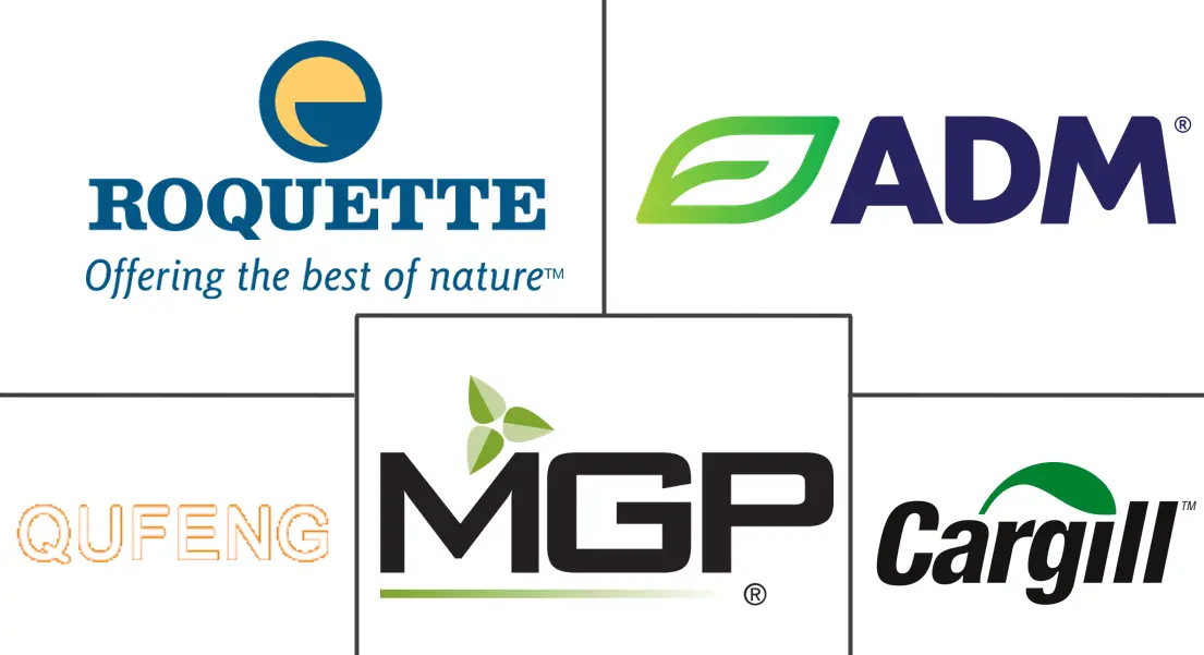 亚太地区小麦蛋白市场规模