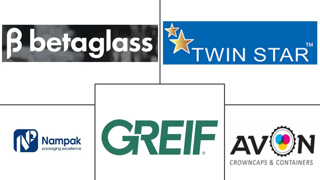 尼日利亚包装市场规模和份额