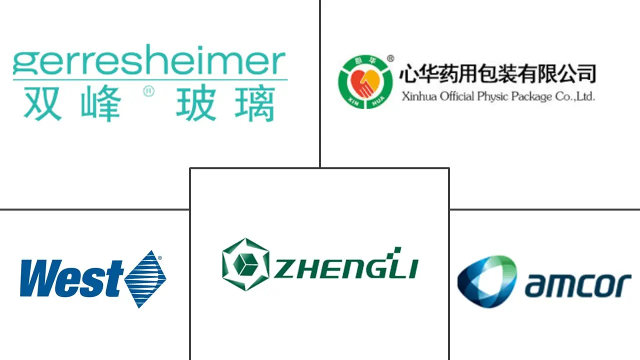 中国医药包装市场规模及份额