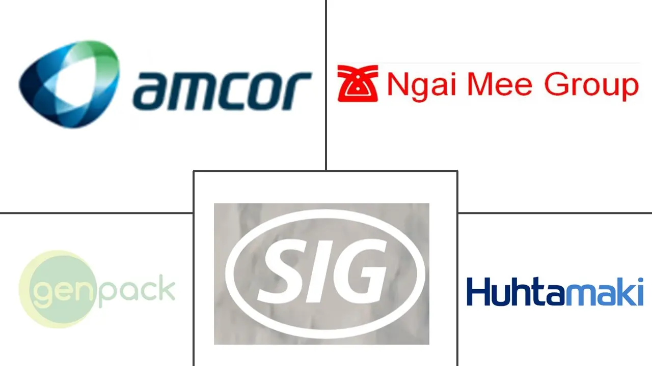 越南软塑料包装市场规模及份额