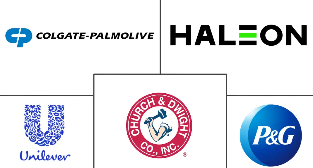 口腔护理市场规模和份额