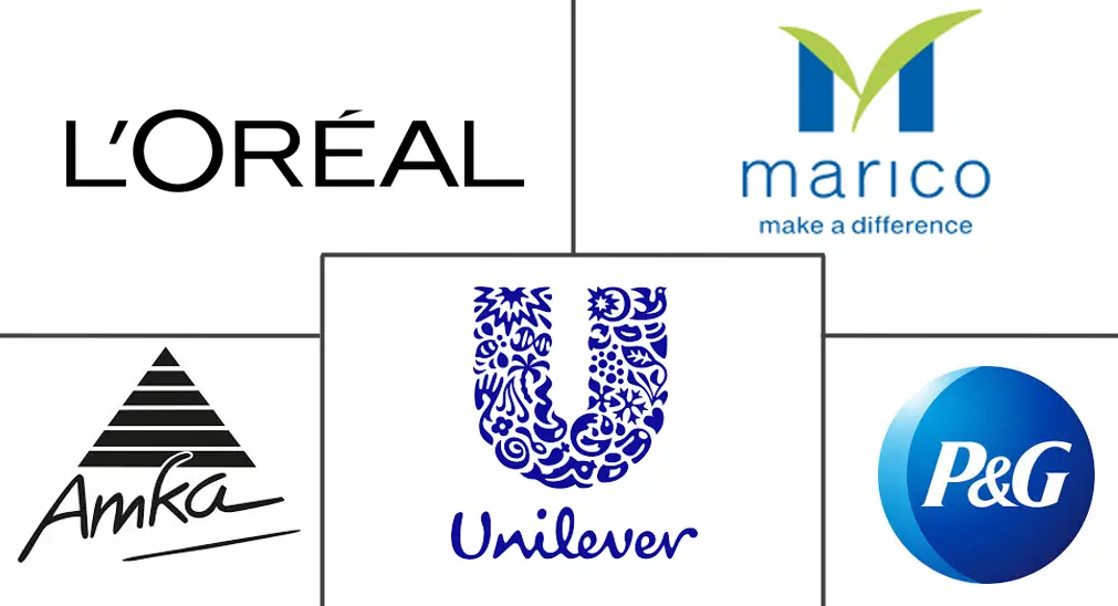 南非护发市场规模和份额