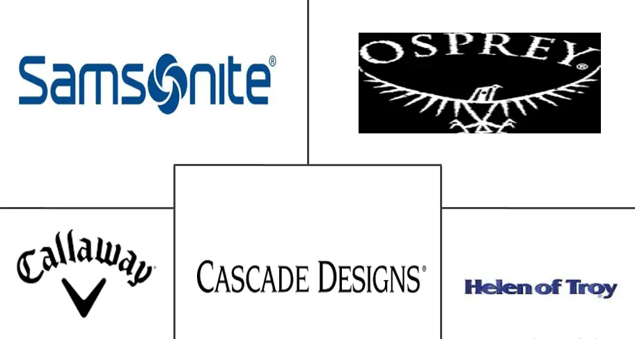 水袋背包市场规模