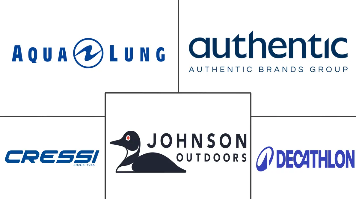 水面水上运动装备市场规模及份额