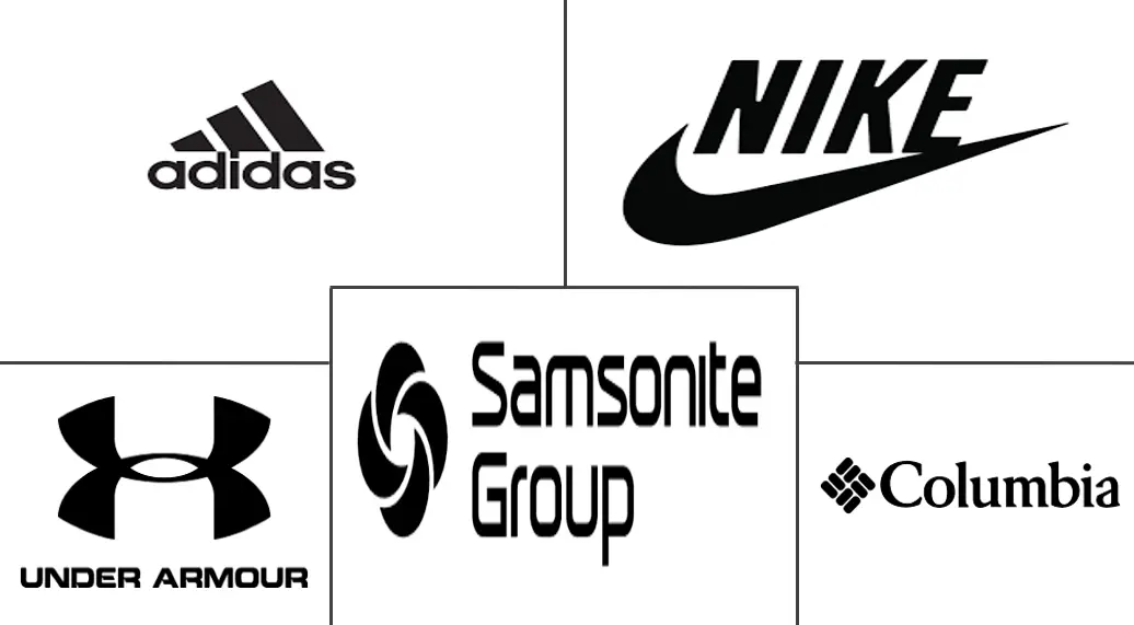 背包市场规模及份额