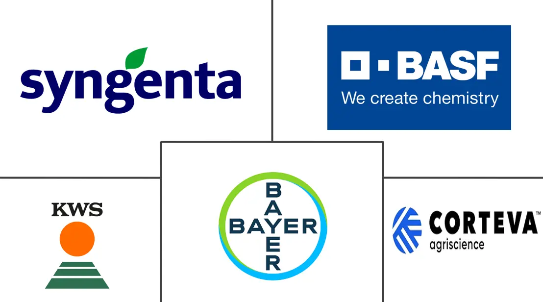 油籽市场规模和份额