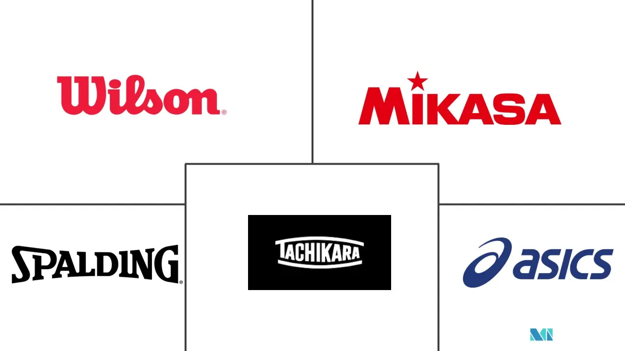 排球防护装备市场规模