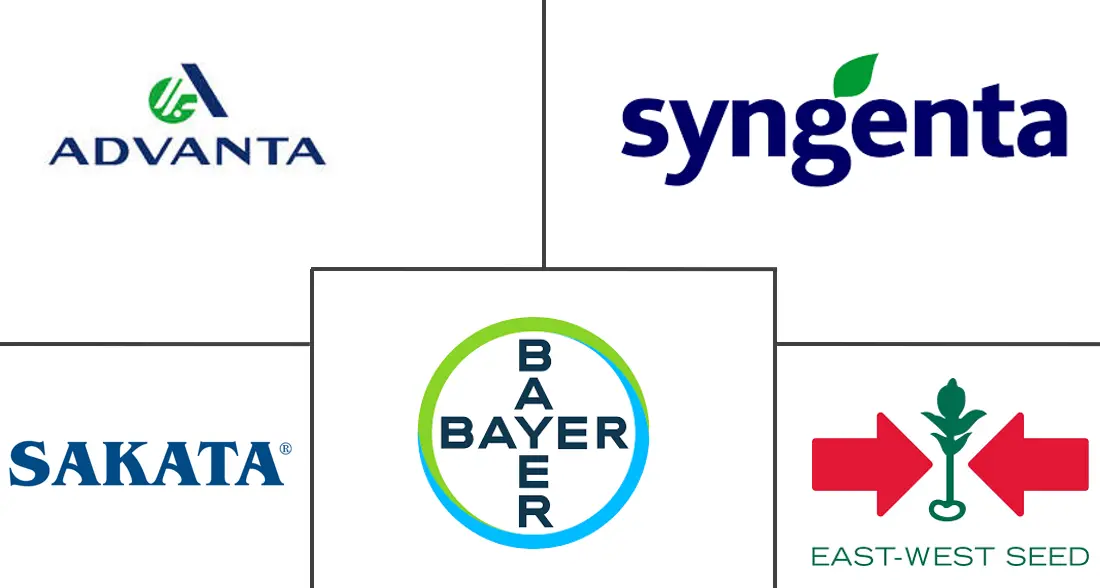 黄秋葵种子市场规模和份额