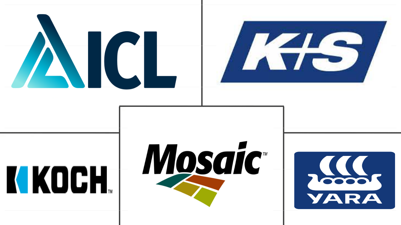 次要营养素肥料市场规模