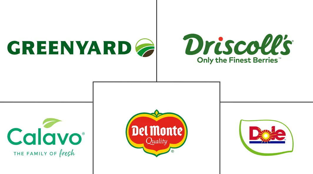 有机水果和蔬菜市场规模和份额