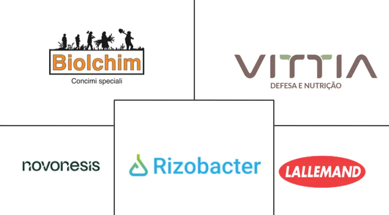 巴西生物肥料市场规模和份额