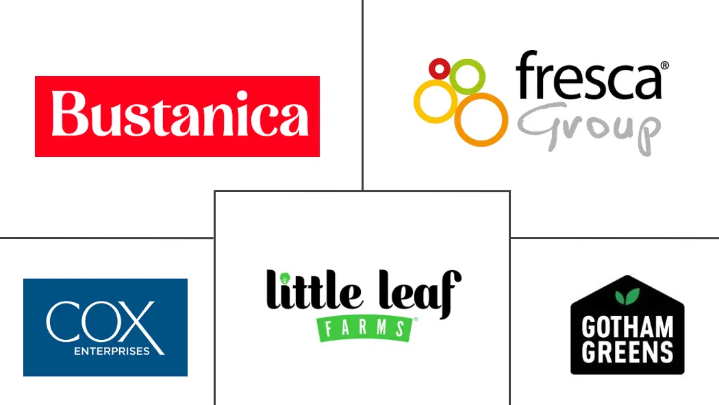 水培市场规模和份额