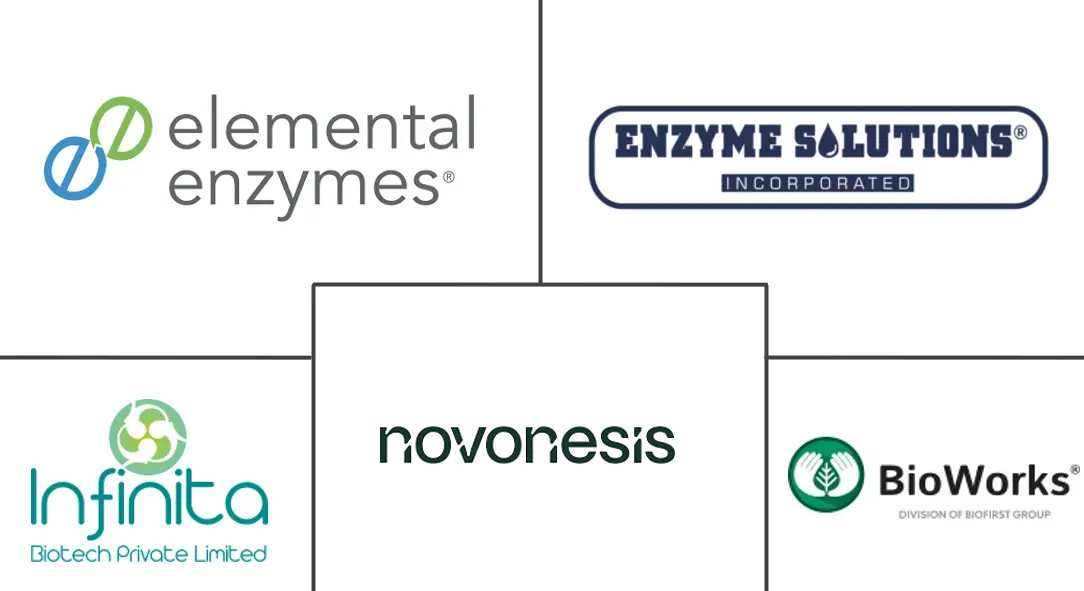 农业酶市场规模和份额