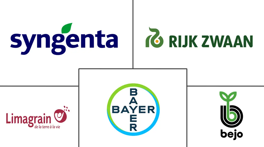 非洲蔬菜种子市场规模和份额