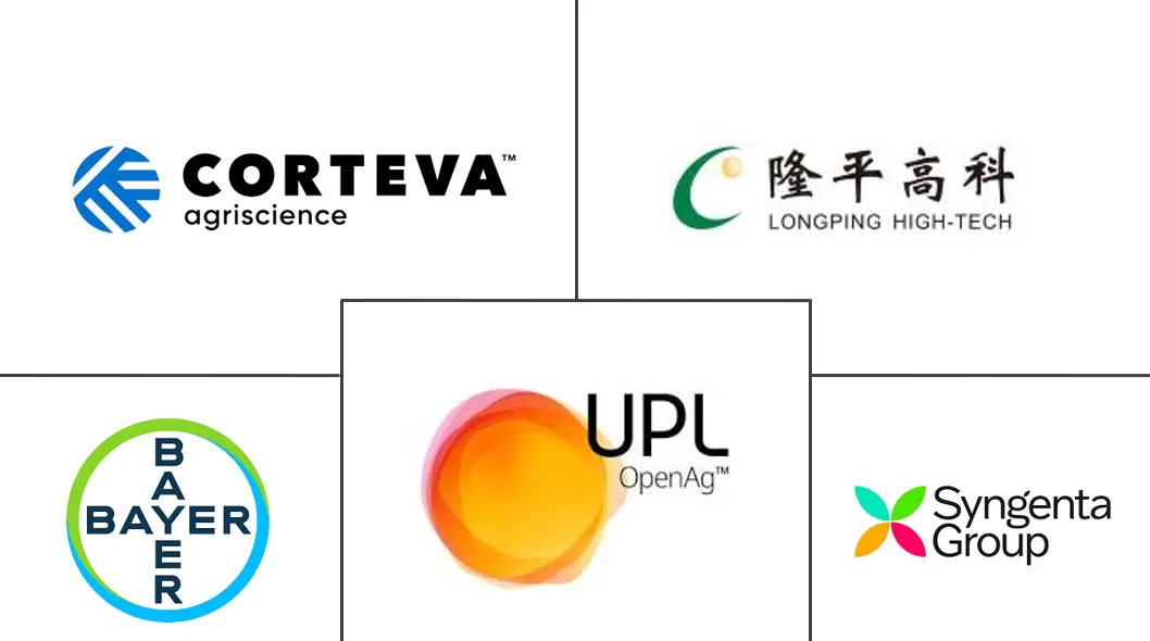 亚太地区谷物种子市场规模和份额