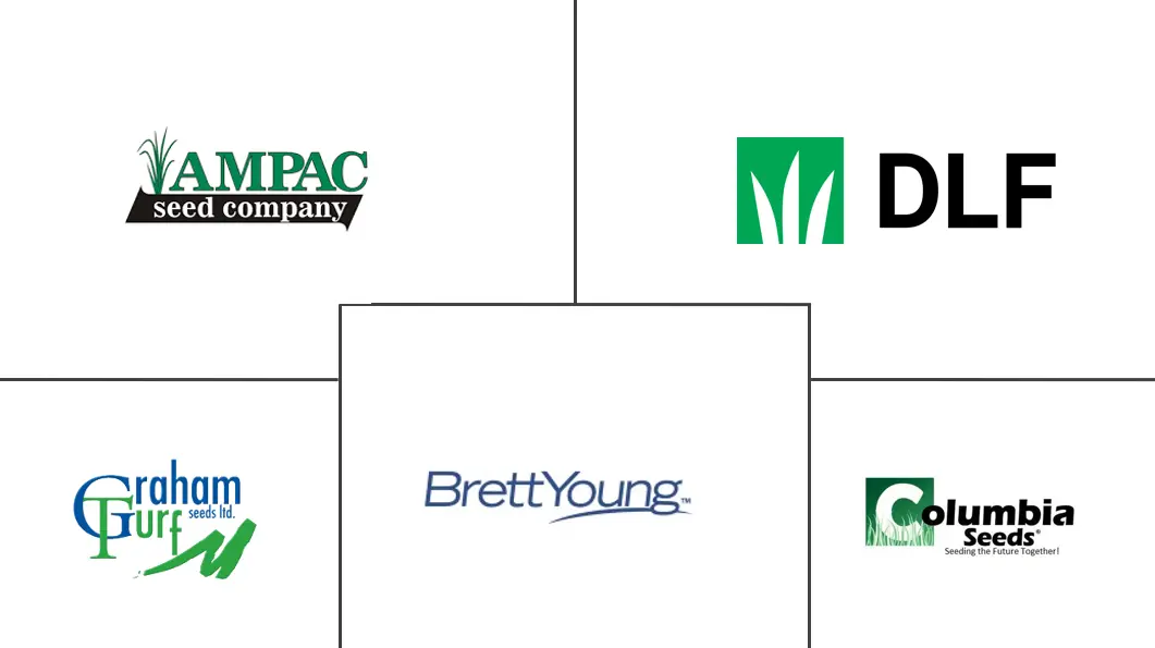 全球运动草坪种子市场规模