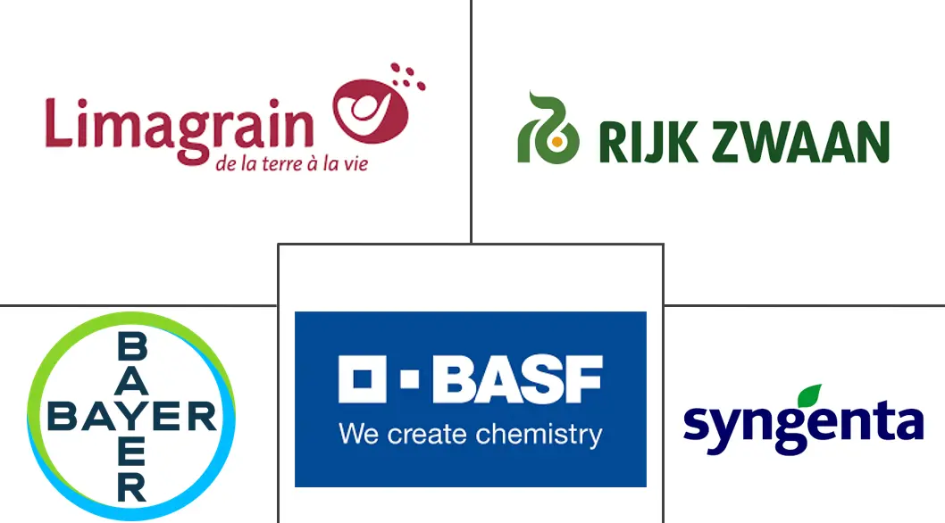 南美洲蔬菜种子市场规模和份额分析