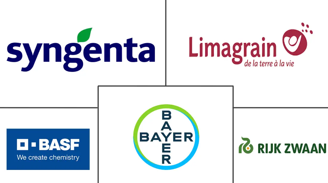 番茄种子市场规模和份额