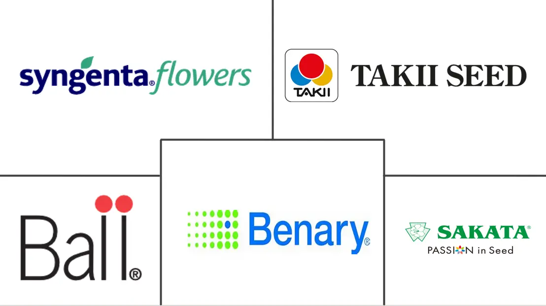 花卉种子市场规模和份额