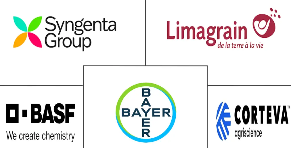 乌干达种子市场规模和份额