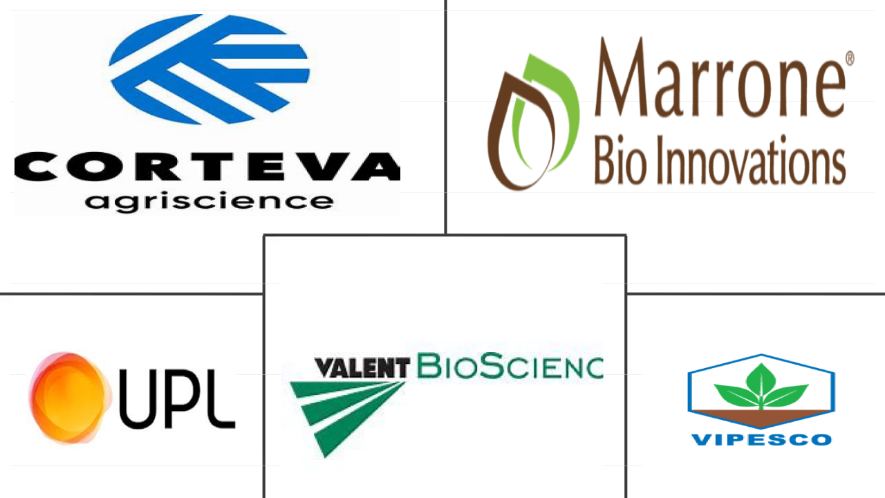 越南生物农药市场规模