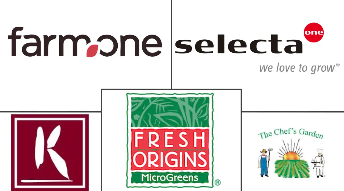 食用花卉市场规模和份额