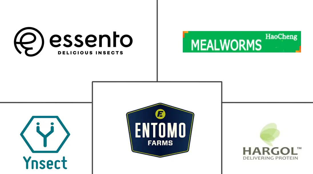 食用昆虫市场规模及份额