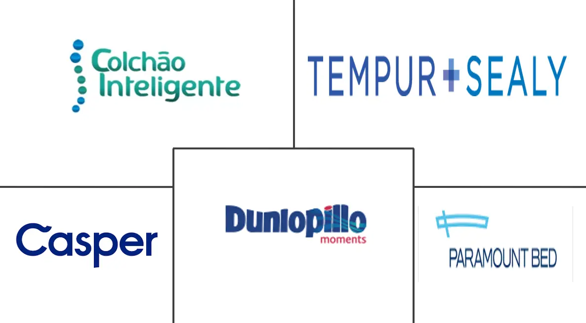 拉丁美洲床垫市场规模和份额